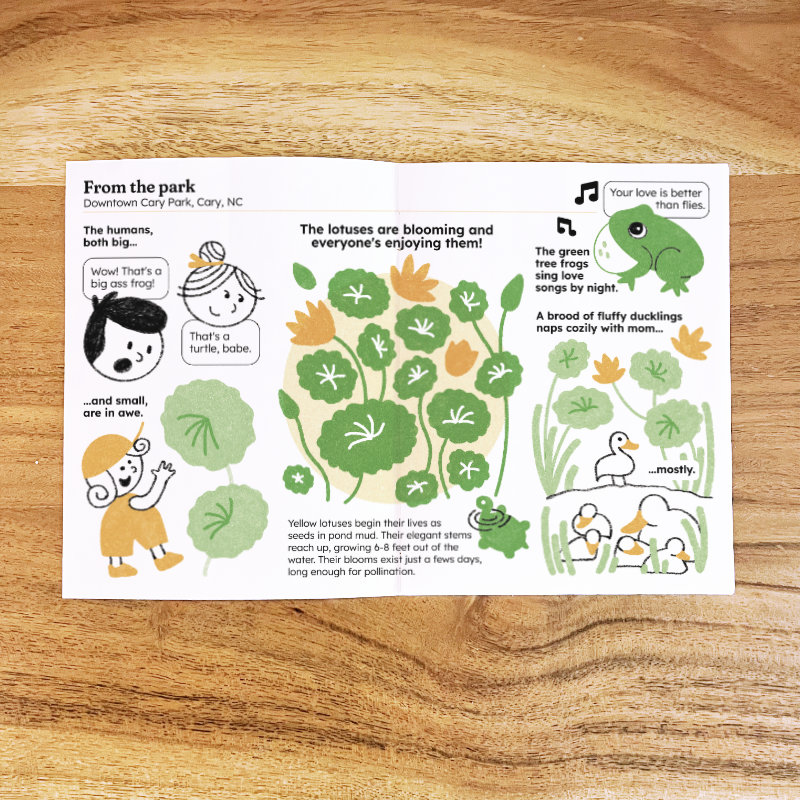 2-page spread featuring several small illustrations of lighthearted moments around a pond blooming with lotus.